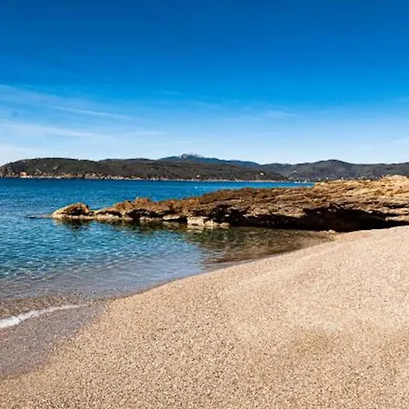 Galatea La Conchiglia Apartamento